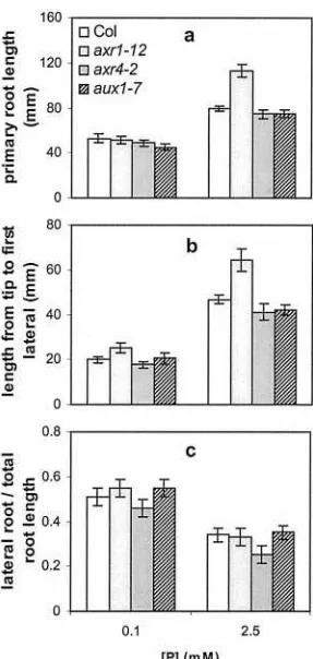 Figure 7. RSA for wild-type Columbia (Col) and the auxin-resistantmutants axr1–12, axr4–2, and aux1–7, at two different phosphateavailabilities and 1% (w/v) Suc
