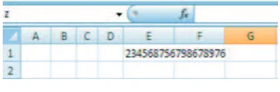 Fig. 4.Entering a big number as a string
