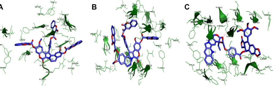 Figure 6 (Continued)