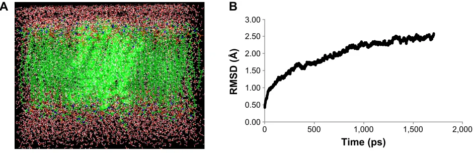 Figure 1 MD simulation of NorA efflux pump.Notes: (A) NorA is embedded into the lipid bilayer with water molecules