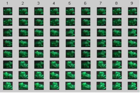 Figure 6(b) Results of Discrete Fourier Transform (Total No. of images retrieved:- 72, Actual no