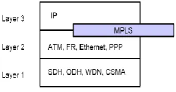 Fig 4 : MPLS Labels 