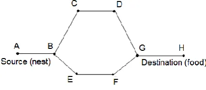 Figure 1 shows the Ant Colony Optimization (ACO) meta-heuristic with two routes from the source (nest) to destination (food)