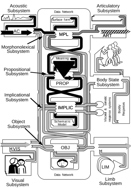 Figure 7. Some of the information flows afforded by the processes shown in Figure 9.