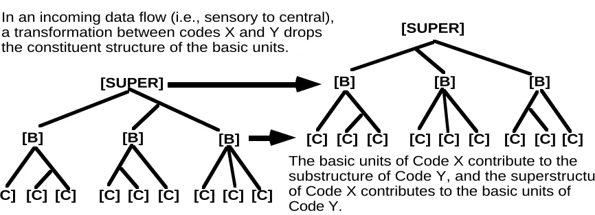 figure. For example, the ARTiculatory representation would be used to compute andco-ordinate the motor instructions for the various musculatures controlling lips, tongue, mouthand breath during speech output.