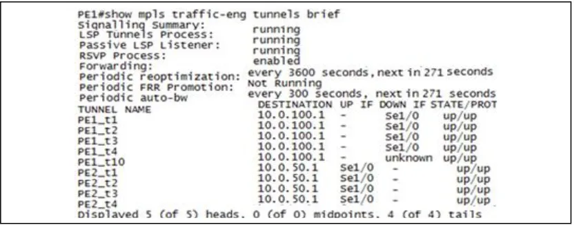 Figure 4: Primary Tunnels on MPLS ISP Network 