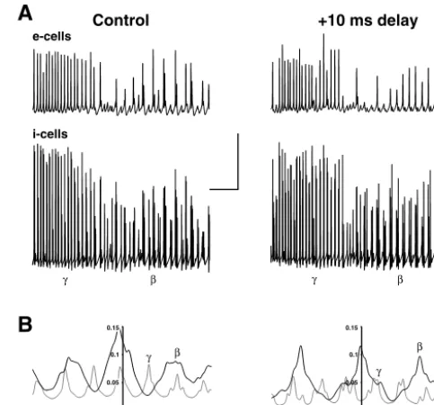 Fig. 4.) Gamma, followed by beta, as plotted in simultaneous traces of localms.)(control conditions, the maximum axon conduction delay was 3.84 ms across thearray
