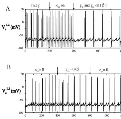 Fig. 5.(A) Fast gamma will not synchronize with a delay of 13 ms. If the long