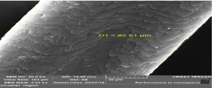 Figure 4: SEM Grade 3: Partial exposure of the cortex. 20µm, 2.00kx, 20KV 