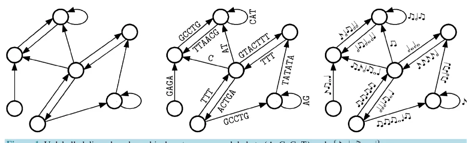 Figure 1. Unlabelled digraph and graphical sentences over alphabets {A, C, G, T} and 