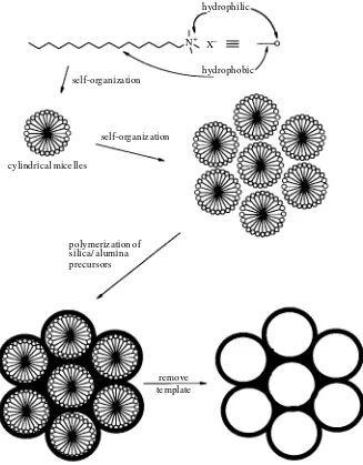 Figure 4. Preparation of MCM materials. The diagram shows self-assembly of the surfactantinto micellar arrays, followed by condensation of silica around the micelles.