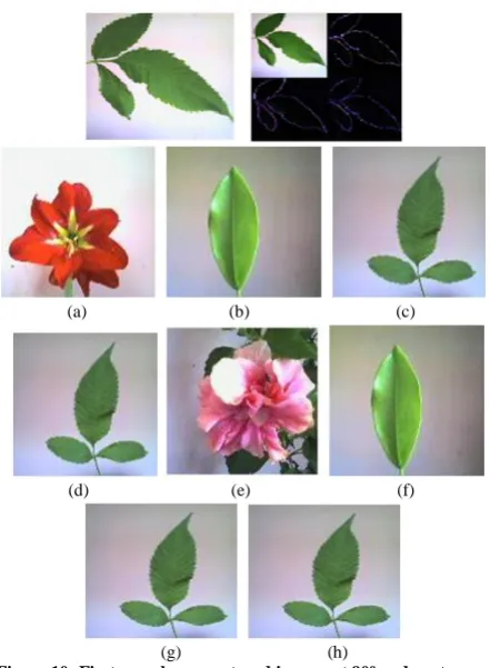 Figure 10: First row shows captured images at 90º and next rows       (g)                                 (h) shows the recognized image from the database by (a) CoC, (b) 