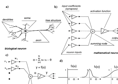 Figure 2a displays a single neuron layer. Such a network can
