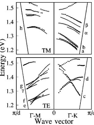 Fig. 5 that some of the TE polarized bands of the ideal 2Dband structure �solid lines� show up exclusively as TM re-ﬂectivity featuresopen circles, and vice versa