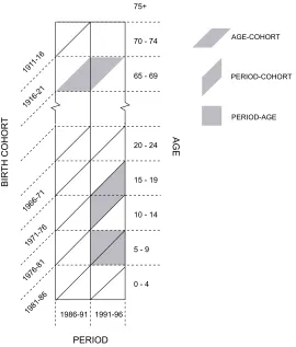 Figure 12: Calculation of separation factors to split period cohort flows between olderand younger period-cohort spaces, Australia