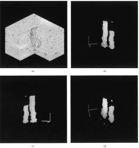 Fig. 11.Three-dimensional representations of microscopy images. (a) Original stack of frames