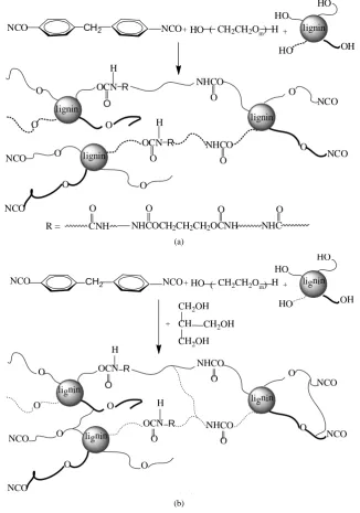 Figure 1. Experimental scheme and model of LPU (a) without TMP; (b) with TMP.     