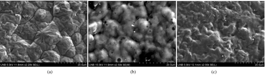 Figure 2. ESEM morphology of LPU1 membranes (a) prepared from THF (LPU1-THF); (b) prepared from dioxane (LPU1-dioxane); (c) prepared from DMAc (LPU1-DMAc)