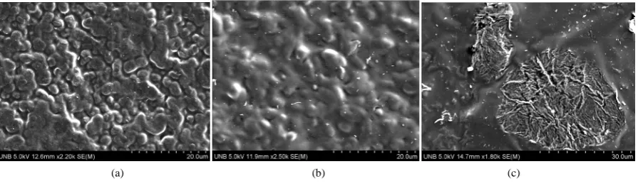 Figure 3. ESEM morphology of LPU membranes (a) LPU2; (b) LPUT2; (c) LPUT3.                                  
