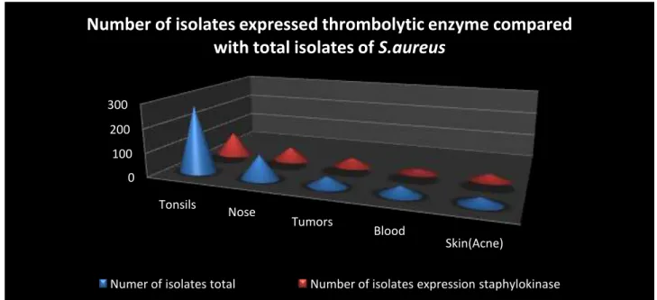 Figure 5: Number of isolates expression thrombolytic enzyme by phynotypic on plasma agar comparison with total  isolates from different sources 