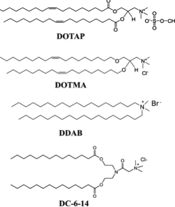 Figure 1. Chemical structure of cationic lipids for preparation of cationic lipo-some