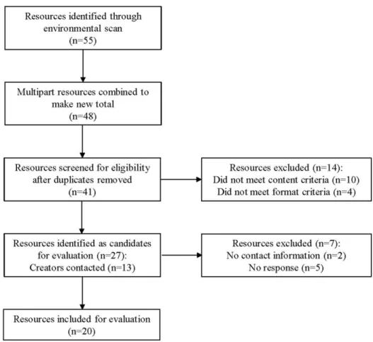 Figure 1 Environmental scan inclusion flowchart 