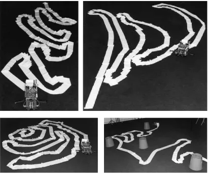 Figure 7 shows the effect of adding the strophotaxis (U-turns) behaviour. Changes in the parameters of the behaviours, particularly the relative strengths of thigmotaxis and phobotaxis generate meanders of varying compactness