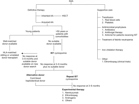 Figure 1 Current recommendation for management of severe aplastic anemia.Abbreviations: AA, aplastic anemia; ATG, antithymocyte globulin; HLA, human leukocyte antigen; HSCT, hematopoietic stem cell transplantation; iST, immunosuppressive therapy; SAA, severe AA.
