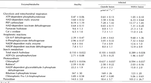 Table 1. Total activity/total amount o f  key enzymes o f  the main metabolic pathways and chlorophyll content in uninfected as well as outside and inside the lesions in virus-infected C