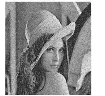 Figure 5.1 Original gray scale Lena image. 