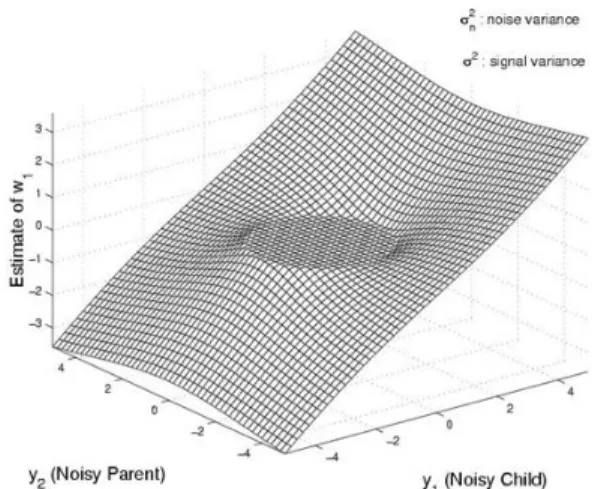 Figure 1: A bivariate shrinkage function.  5. Performance Evaluation Measures 