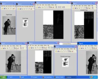 Fig. 8 shows the original cover image and decomposition of the contourlet  scheme 