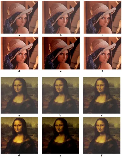 Figure 7 : LENA image, a. nearest neighbour, b. Bilinear, c. Bicubic, d. Edge Guided, e