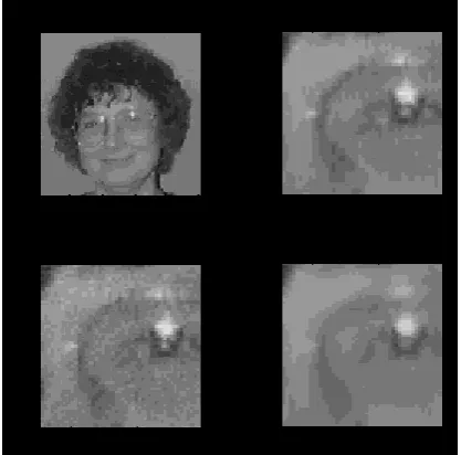 Fig. (A) Denoising an image of Ingrid Daubechies' left eye. The top left image is the original