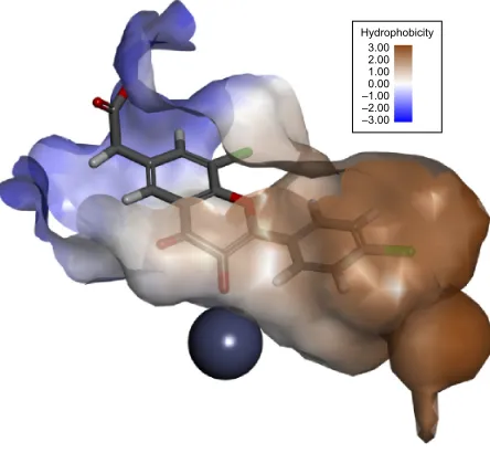 Figure 5 Docking of compound 2 within the active site of glo-i.Notes: The ketol group chelates zinc (gray sphere)