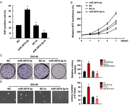Figure 2. Overexpressing miR-3074-3p promoted, while inhibiting reduced the proliferation ability of DU145 in vitro