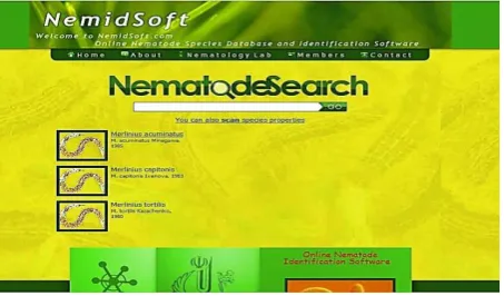 Fig. 3. The Search section of the program.  