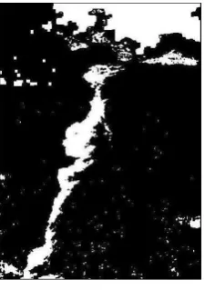 Fig. 6.Global segmented image