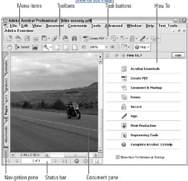 Figure 1. Acrobat 7 Professional's interface is made up of severalcomponents.