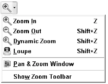 Figure 5a. Choose from several specialized viewing tools from the Zoomsubmenu