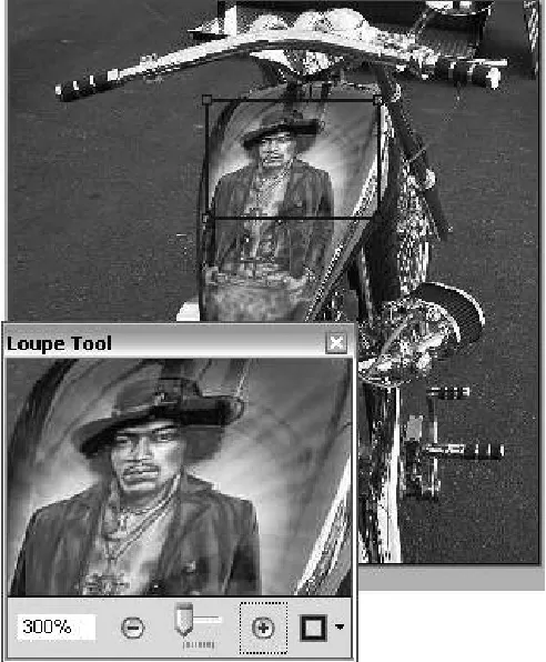 Figure 5b. Zoom in or out of a page to view content close up with the Loupetool