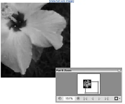 Figure 5c. The Pan & Zoom tool lets you check out different details ondifferent pages in a document.