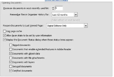 Figure 7a. Customize the Startup preferences to change how the programstarts and runs.