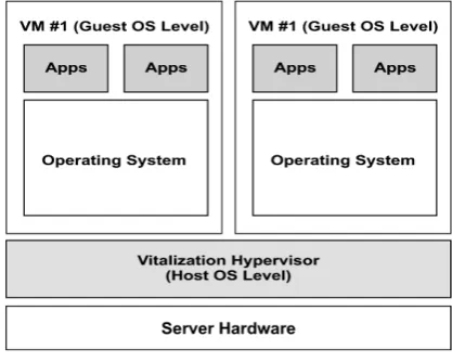 Figure 1. Virtualization architecture.                         