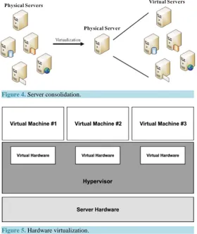 Figure 5. Hardware virtualization.                                    