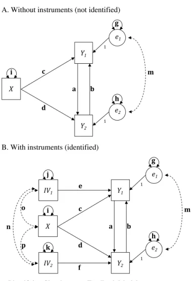Figure 3. Identifying Simultaneous Feedback Models 