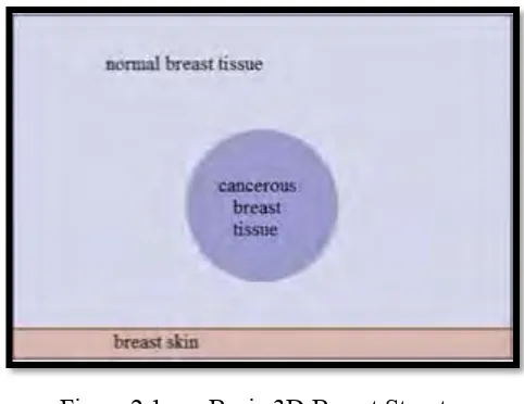 Figure 2.1 Basic 3D Breast Structure 