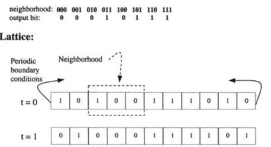 Figure 2.5: Illustration of a one−dimensional, binary−state, nearest−neighbor (r = 1) cellular automaton with N = 11