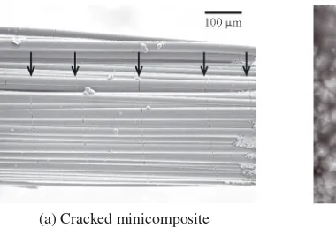 Fig. 3: FEG-SEM images of matrix cracks
