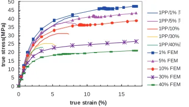 Fig. 5. Experimental and numerical homogeneous true stress vs. strain curves 